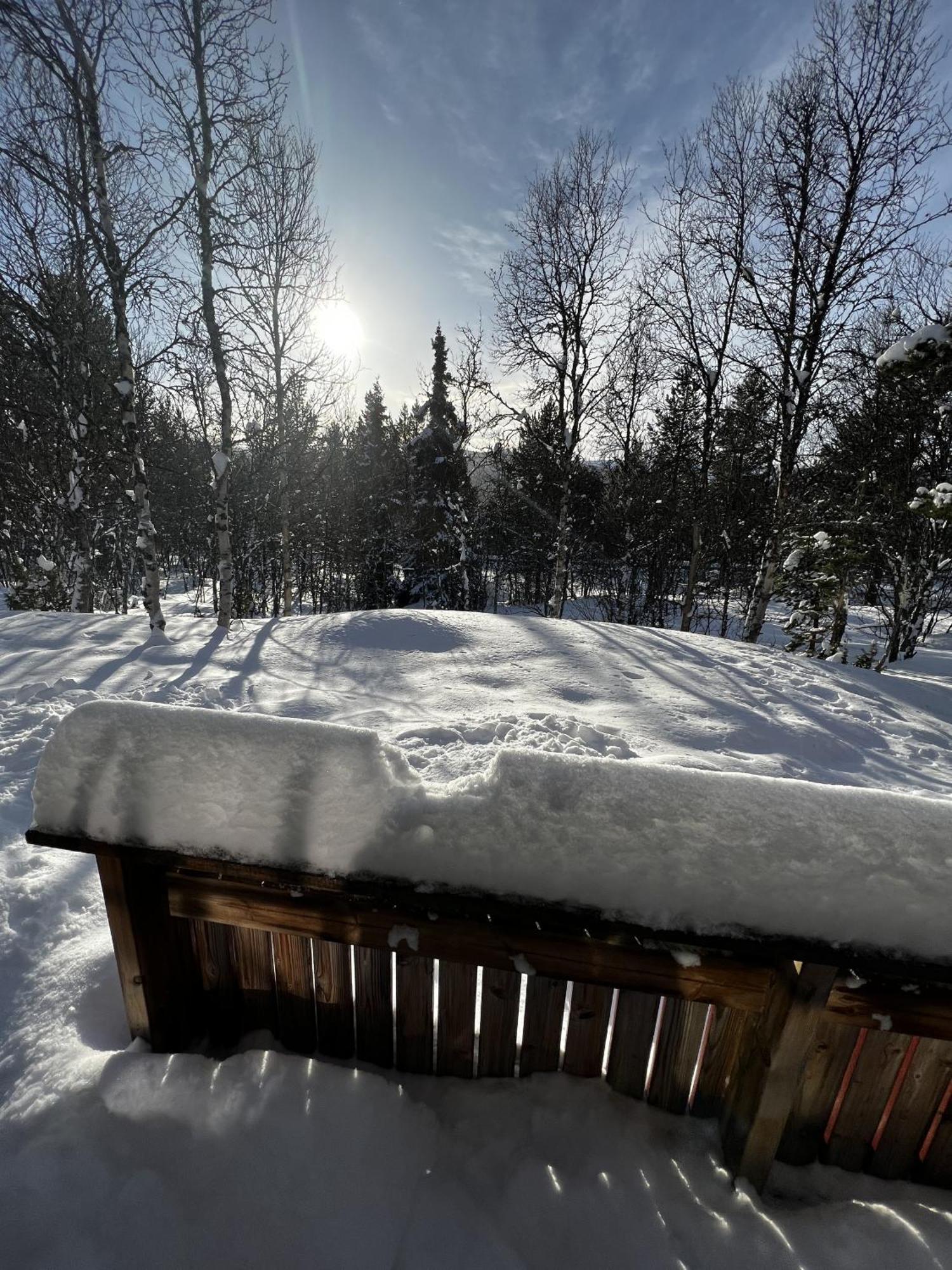 Koselig Hytte Med Usjenert Og Solrik Beliggenhet Geilo Esterno foto