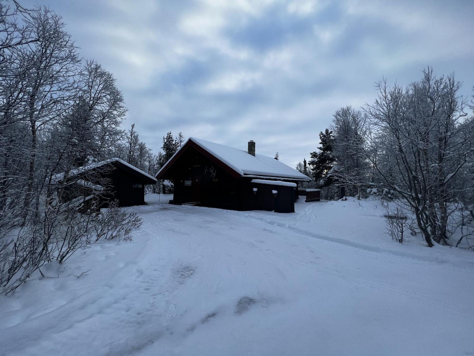 Koselig Hytte Med Usjenert Og Solrik Beliggenhet Geilo Esterno foto