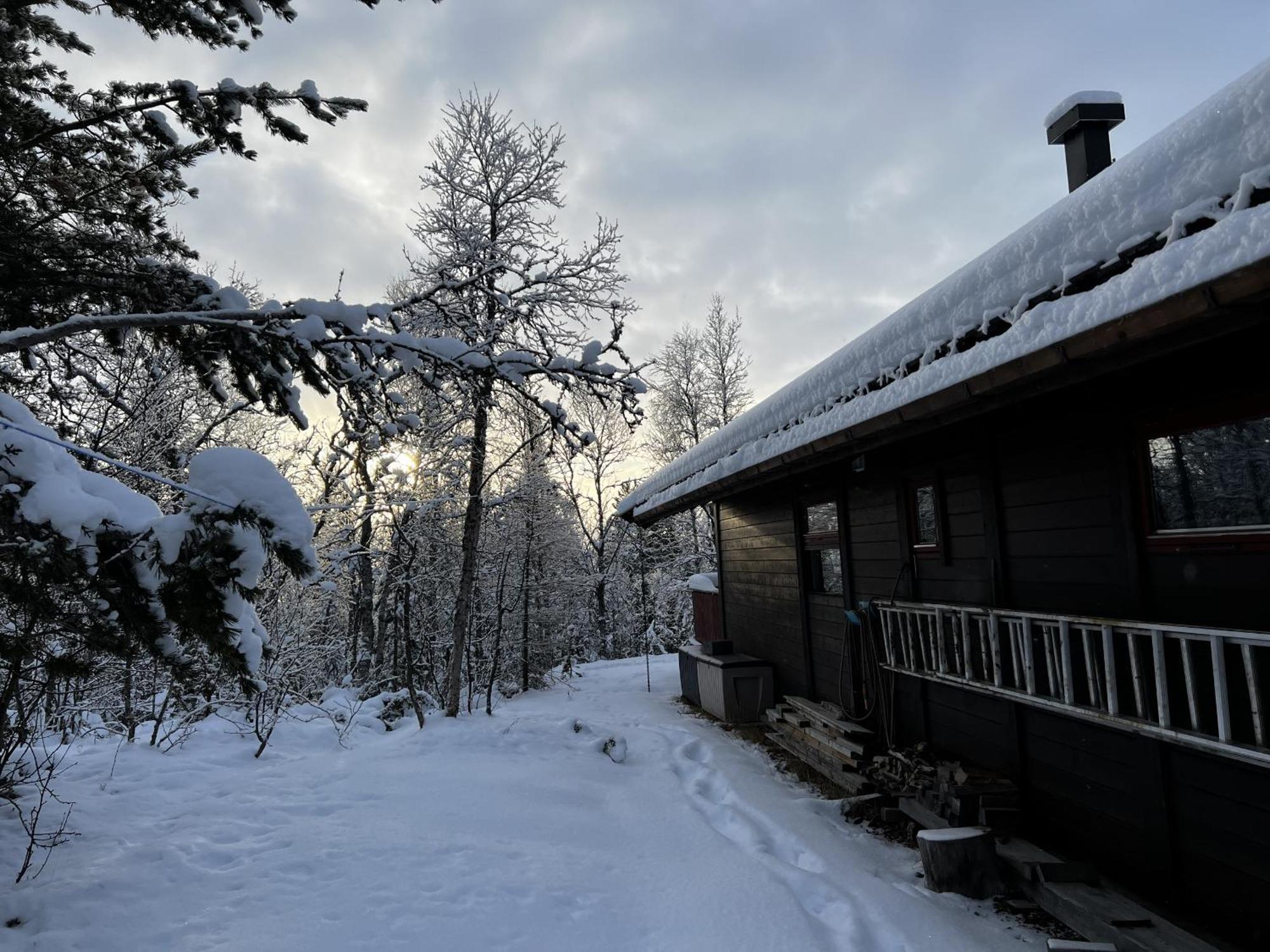 Koselig Hytte Med Usjenert Og Solrik Beliggenhet Geilo Esterno foto